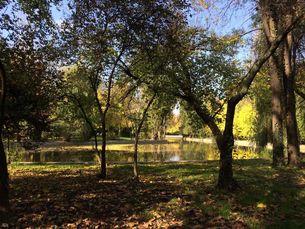 Cismigiu Garden Studio Lägenhet Bukarest Exteriör bild