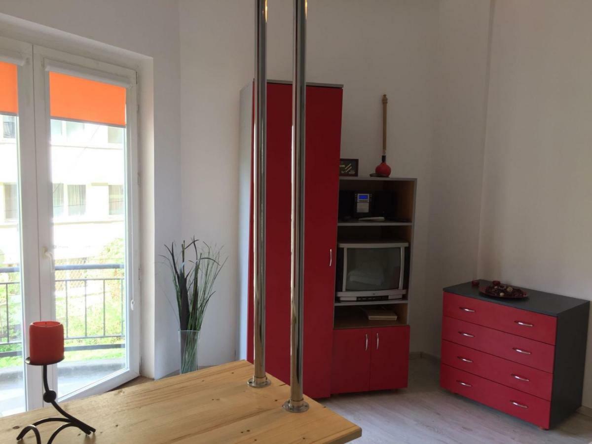 Cismigiu Garden Studio Lägenhet Bukarest Exteriör bild